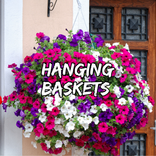 hanging baskets