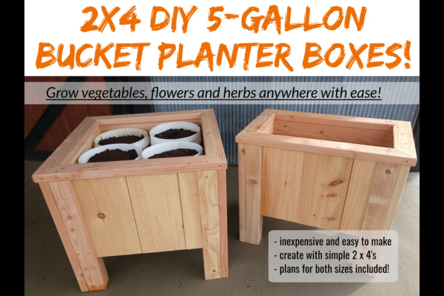 How To Grow Vegetables In Buckets