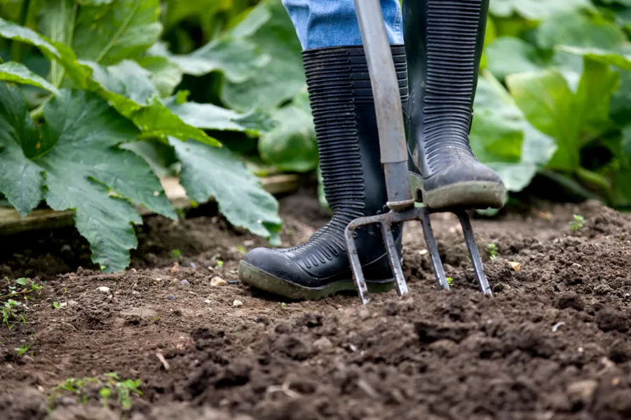 how to use compost in the garden