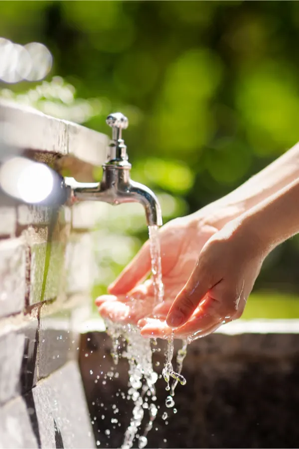 watering with municipal water