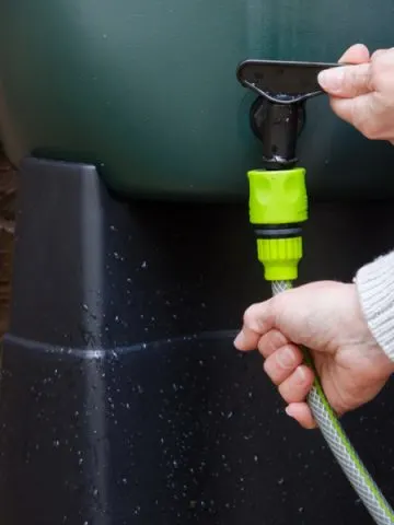 how to collect rain water