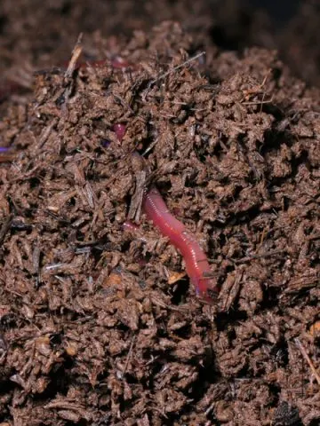 how to use worm castings