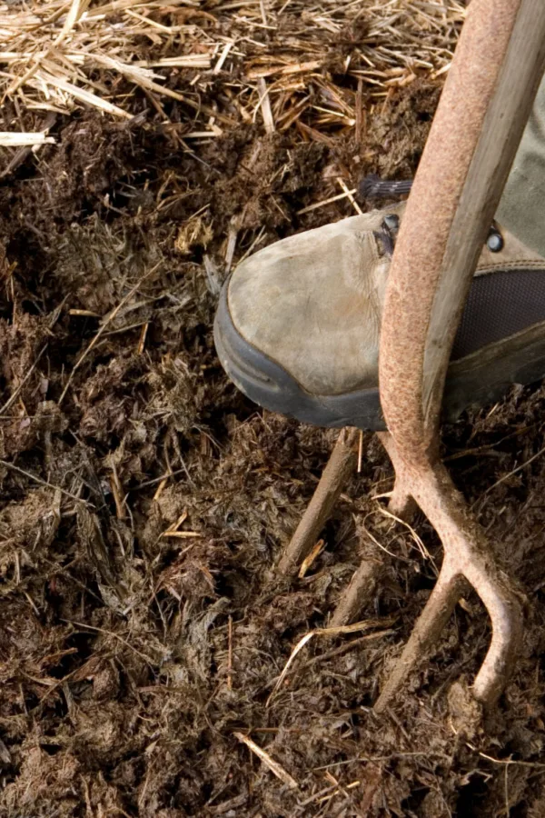 Homemade compost is a great way to boost the nutrients in your garden soil. Adding chicken manure helps that.