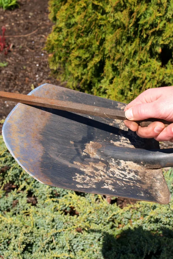 A hand using a metal file to sharpen the blade of an old shovel.