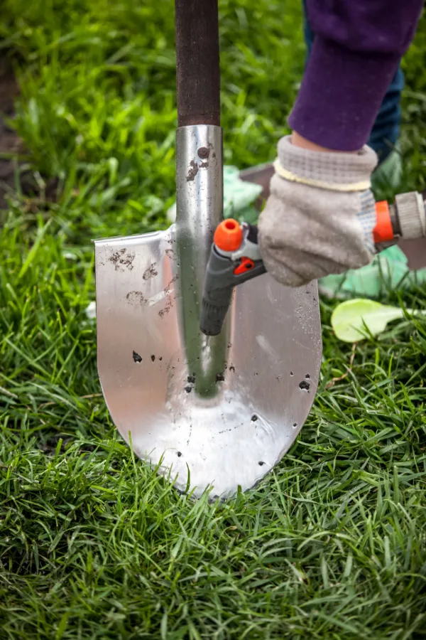 A hand spraying off a garden shovel tool. This helps to clean and disinfect