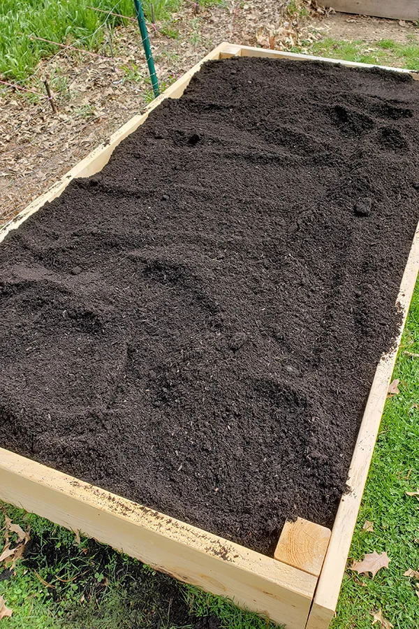A raised wooden bed with lots of black compost on top.