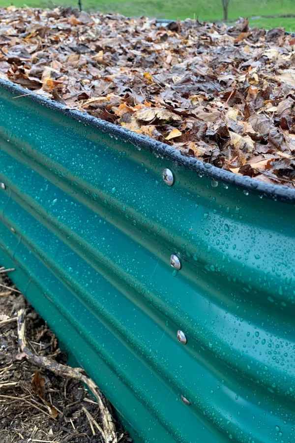A green metal bed with shredded leaves on top.