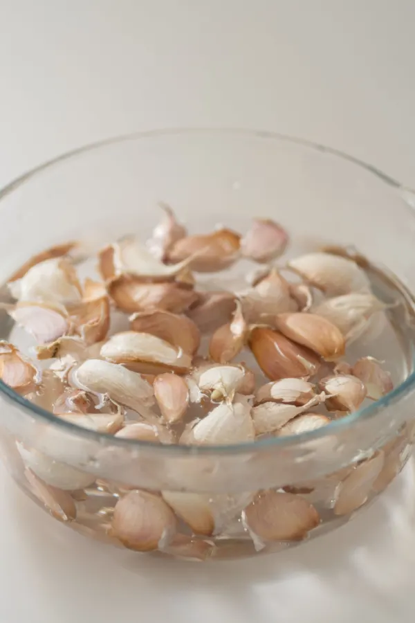 how to plant garlic in the fall