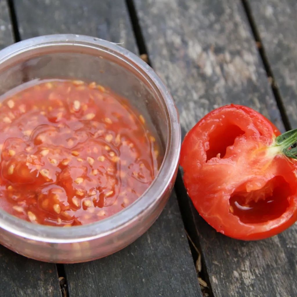 Tomato seeds in a jar next to an empty tomato.