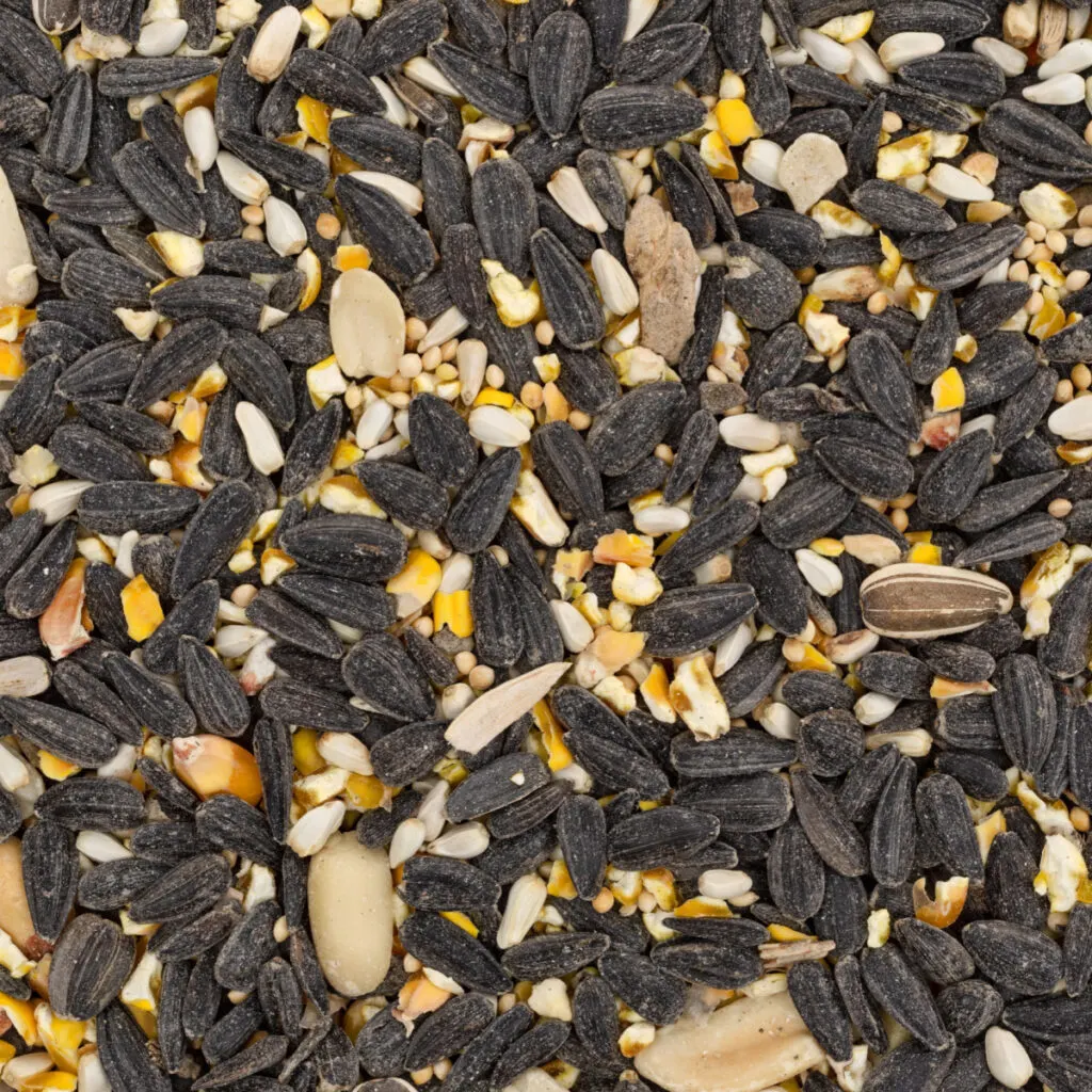 A mixture of homemade birdseed.