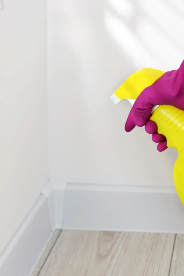 A hand spraying peppermint oil in the corner of a room.