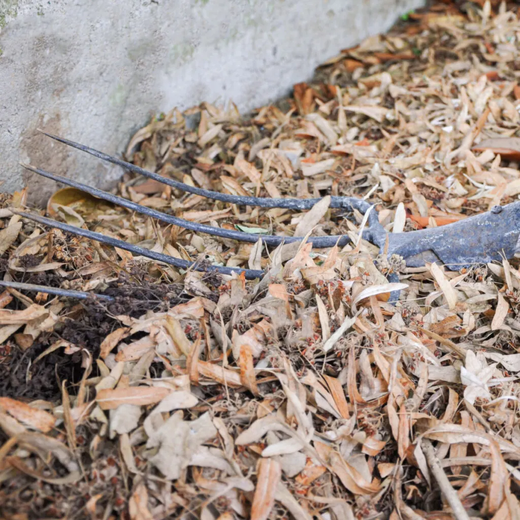 Leaves in a compost pile to create leaf mold. 