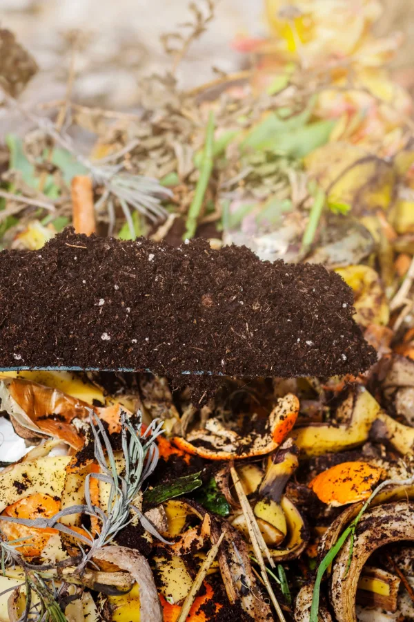 soil amendment that is made up of kitchen scraps and other materials.