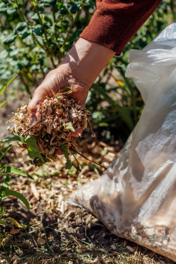 how to use leaves in the fall