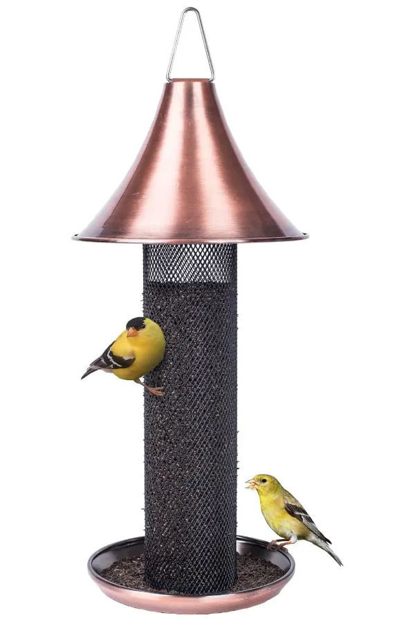 tube feeders