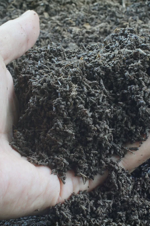 A hand holding worm castings