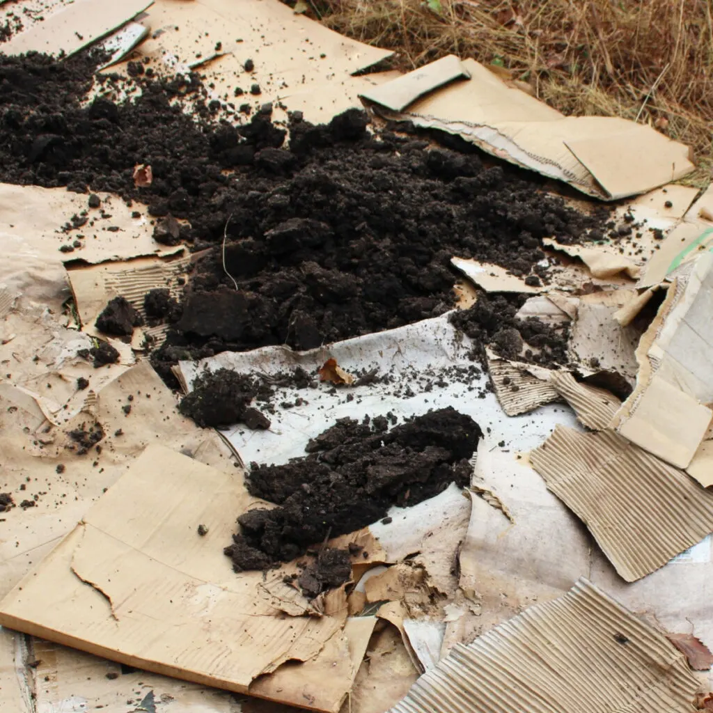 use cardboard in the garden to stop weeds