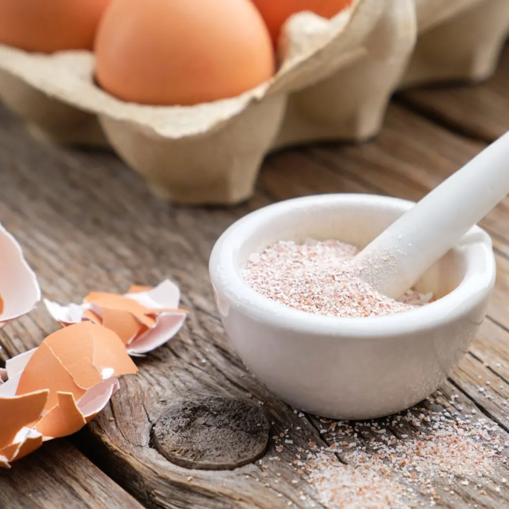 crushed egg shells