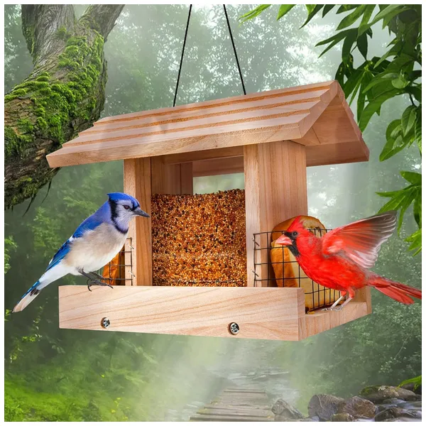 best bird feeders in winter