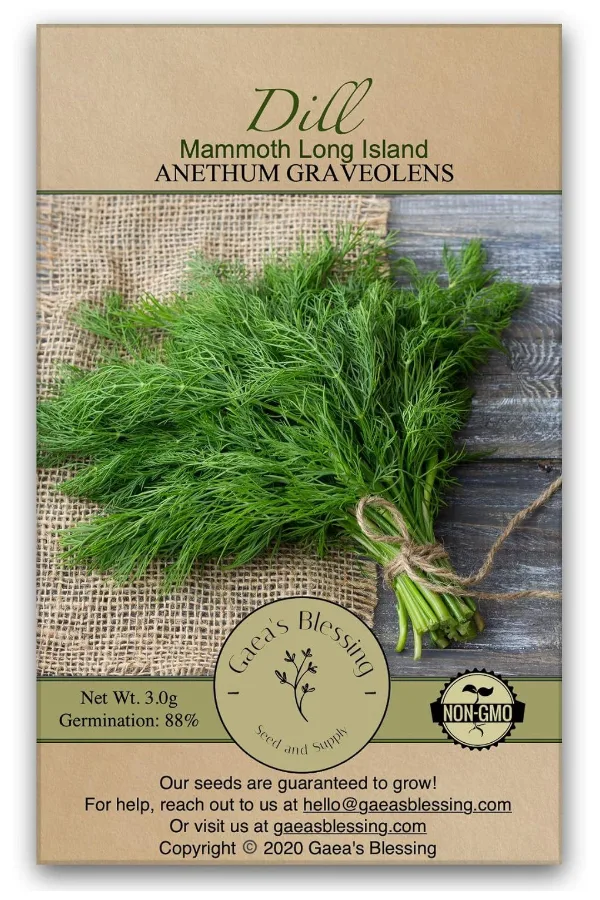 dill seed