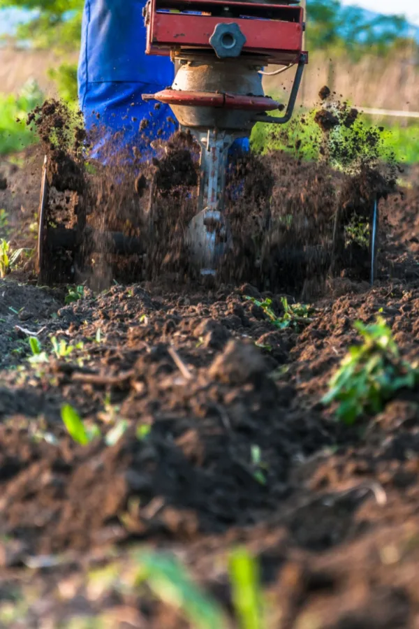 tilling a garden