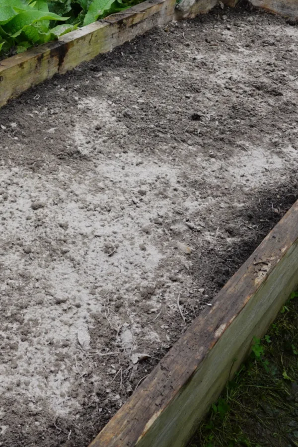 spreading wood ashes on soil