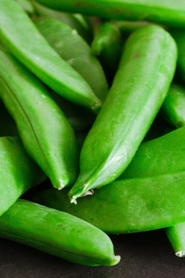 vegetables from the garden