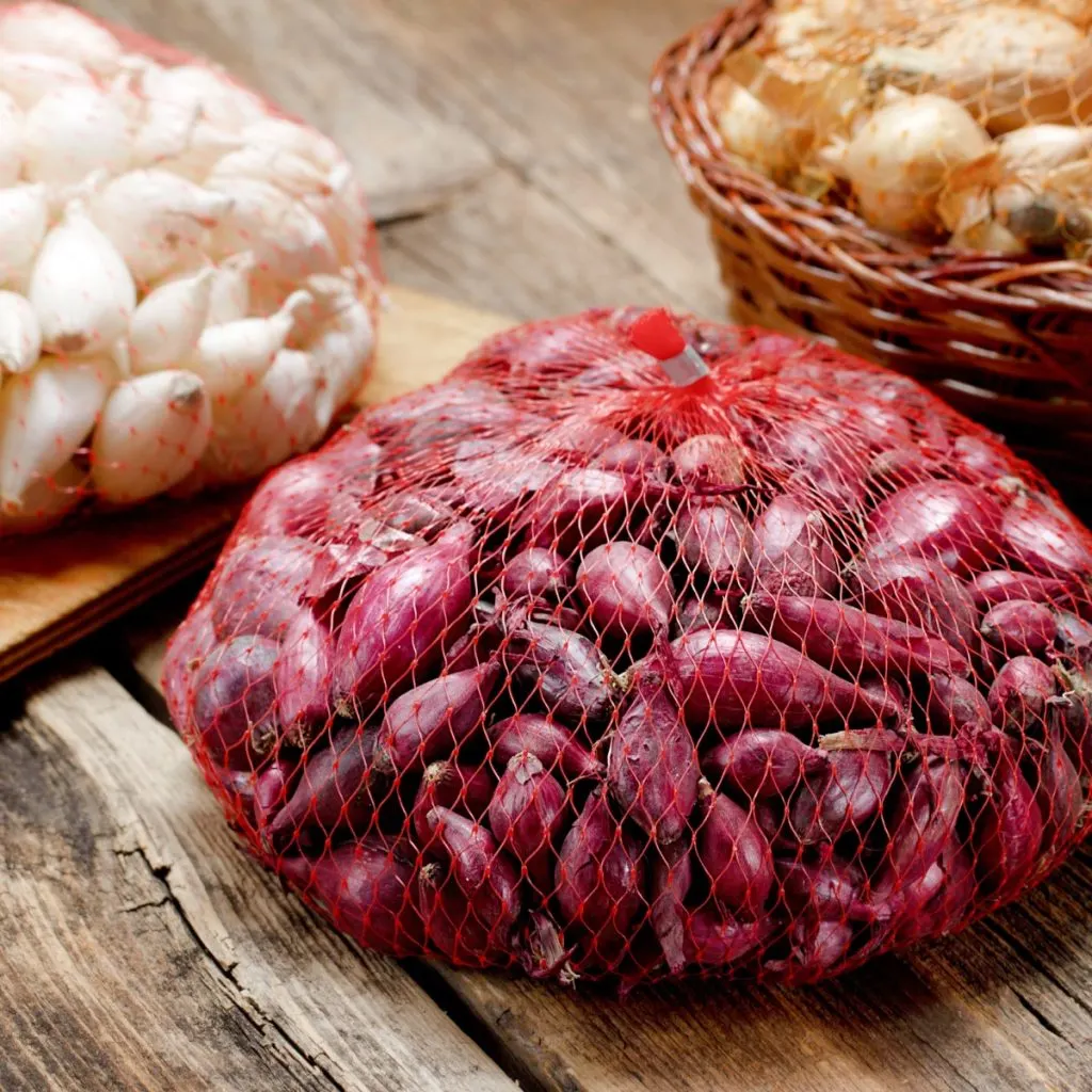 Bags of onion sets