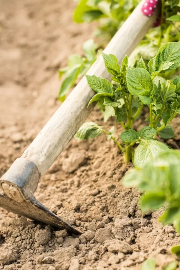 A hoe hilling up soil