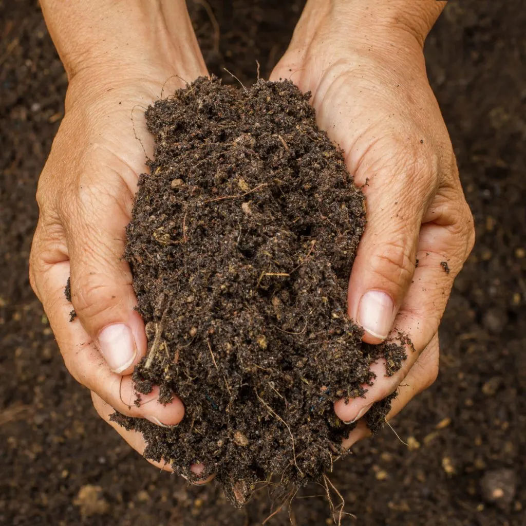 compost to raised bed soil