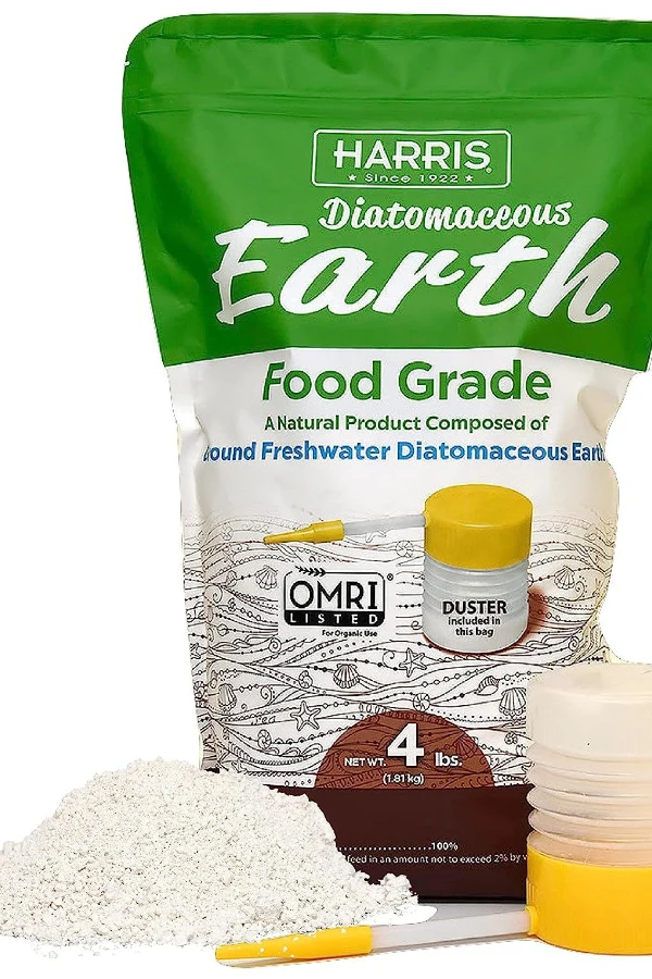 diatomaceous earth