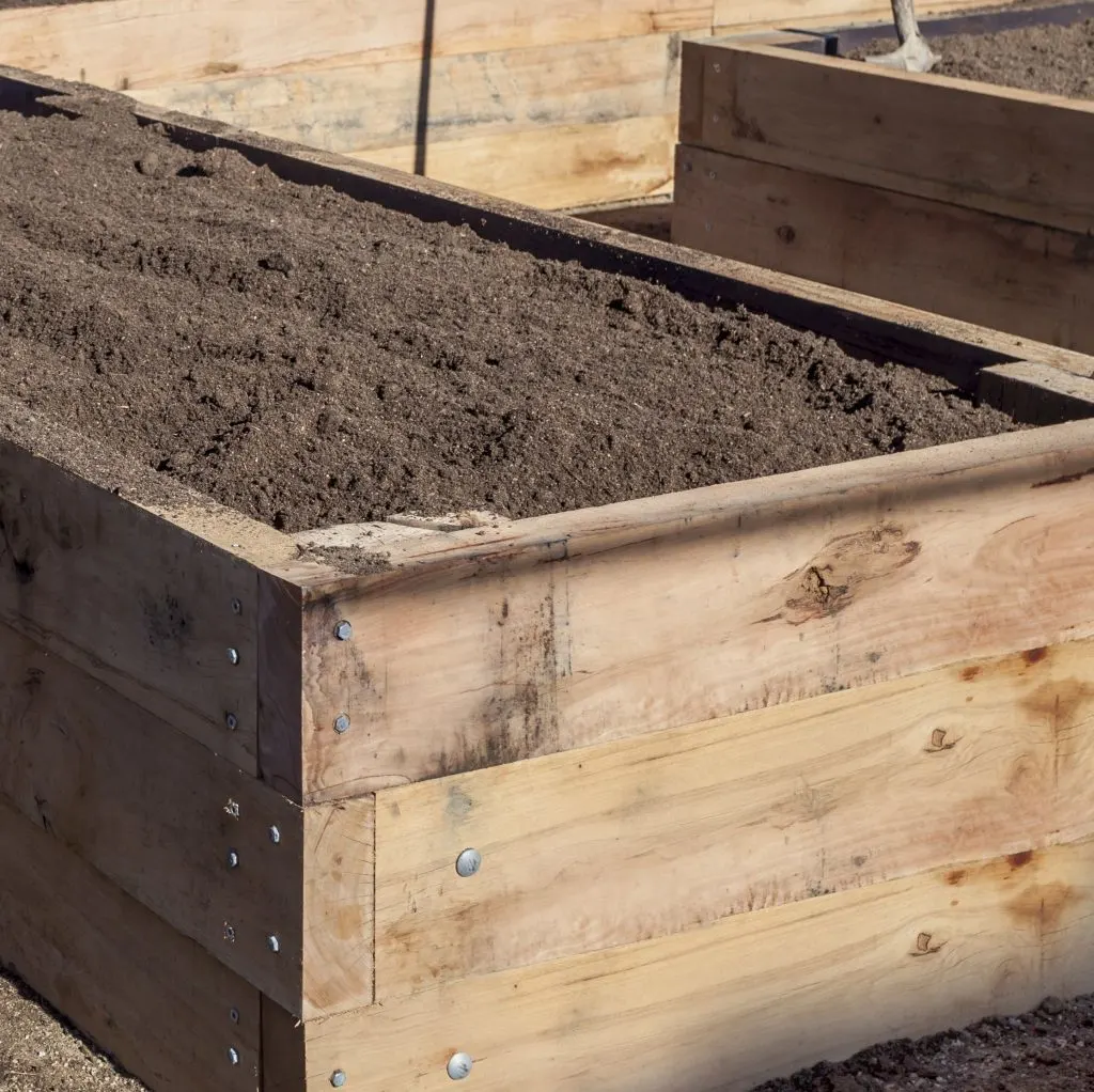 recharge raised bed soil