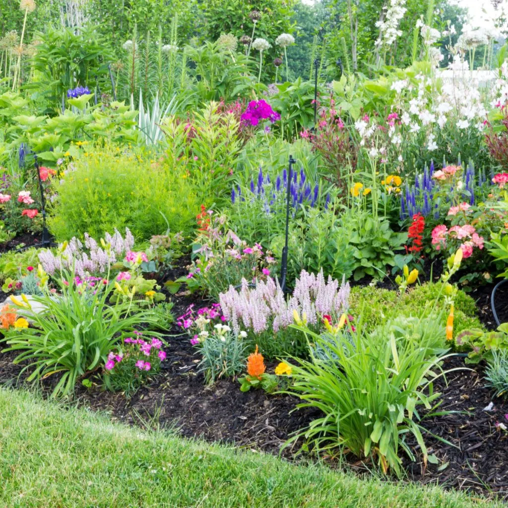 stop weeds