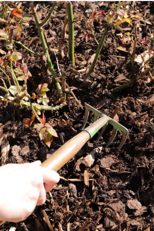 raking beds