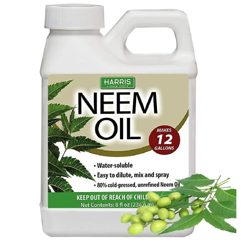 natural insecticide 