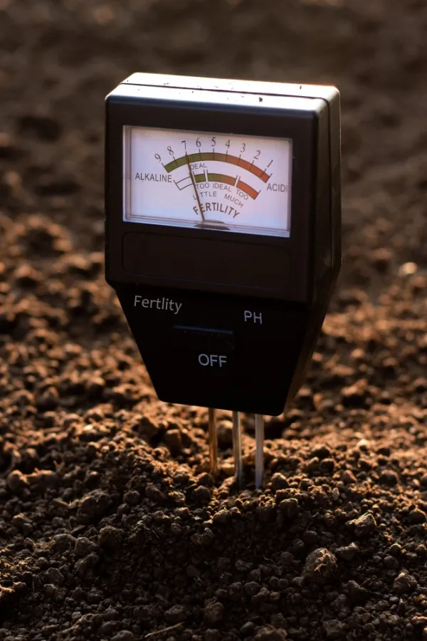 A soil pH tester - change color of hydrangeas