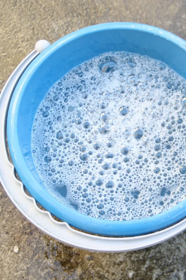A bucket of soapy water