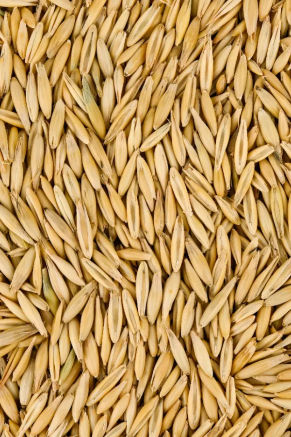 oats