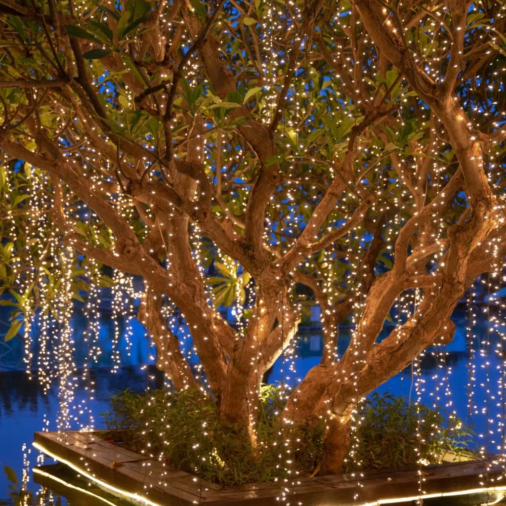 winter lighting
