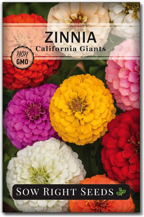 seeds for annuals