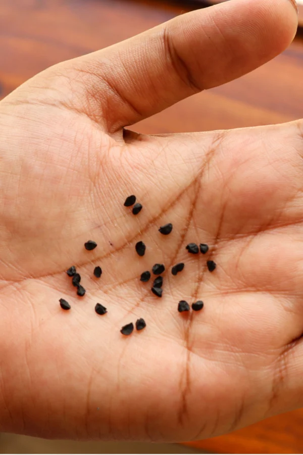 seeds