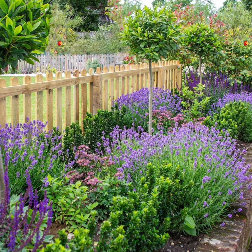 flowerbeds with good soil