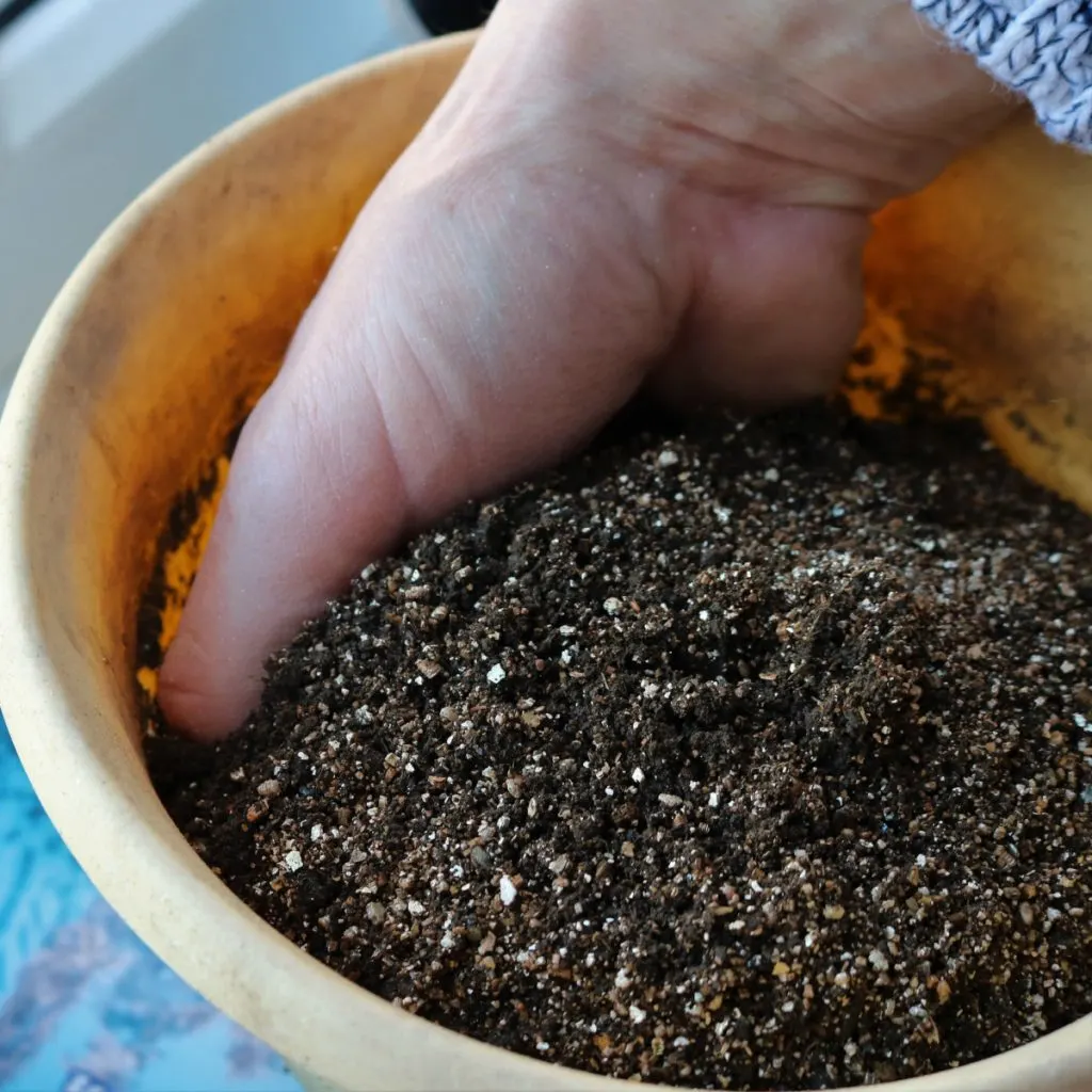 perfect potting soil recipe