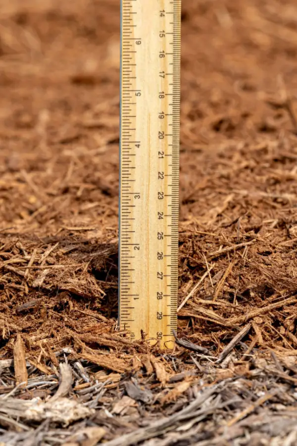 mulch thickness