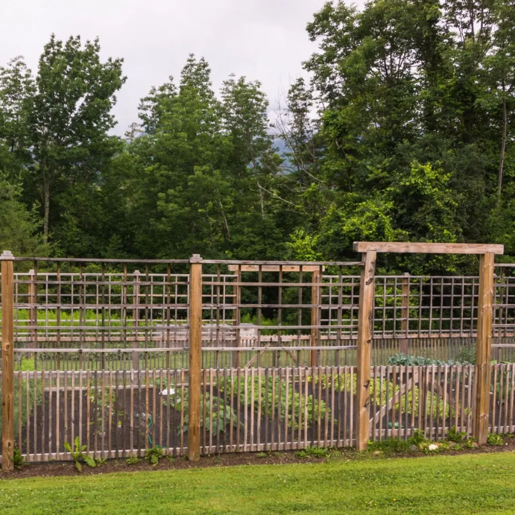 fence