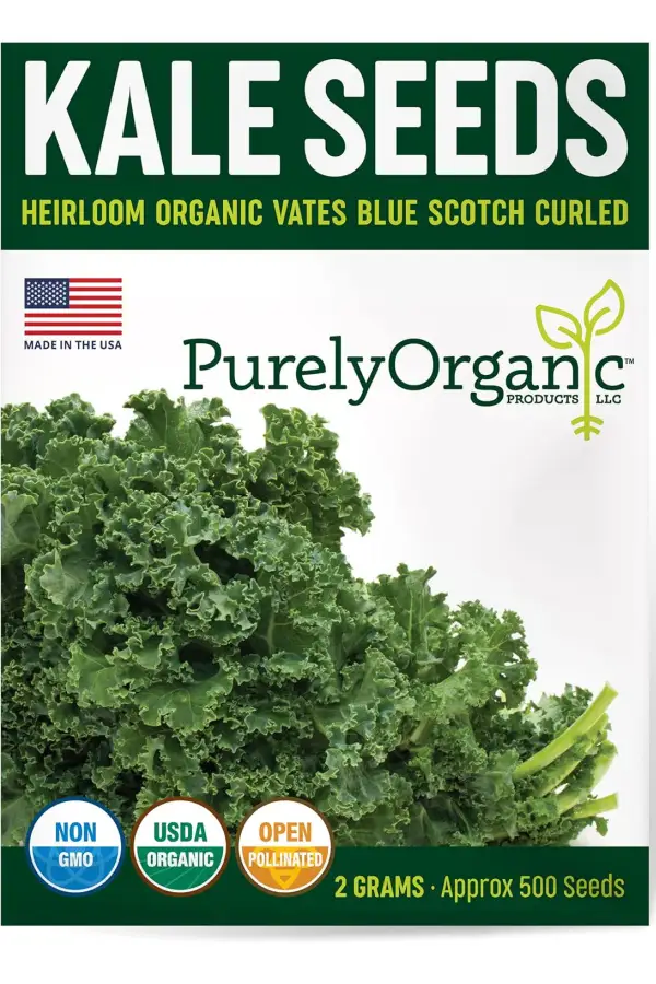 kale seeds