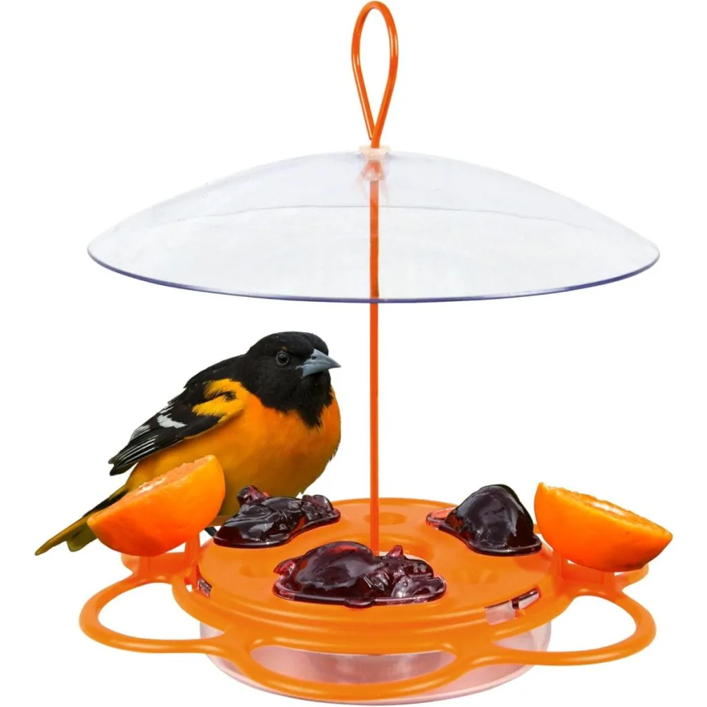 feeders