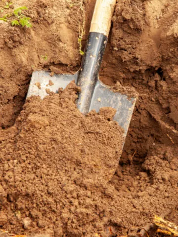 A hole in the soil ready for compost