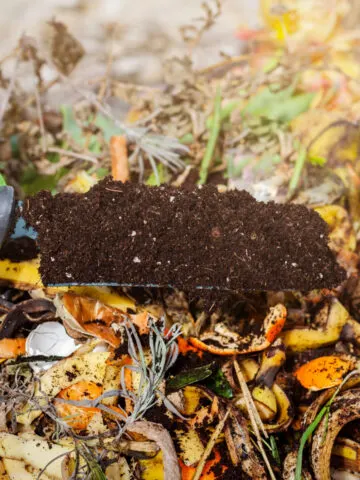 Finished compost in front of items in a fall compost pile.