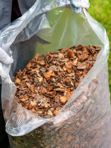 best ways to use leaves